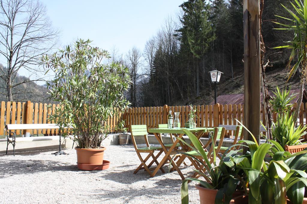 Apartament Chez Pierre Lunz am See Zewnętrze zdjęcie