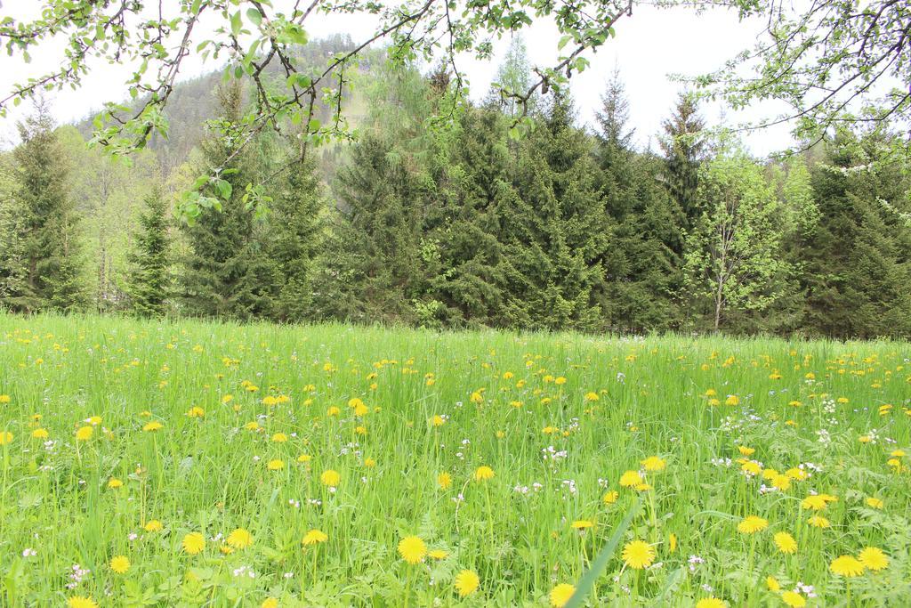 Apartament Chez Pierre Lunz am See Zewnętrze zdjęcie