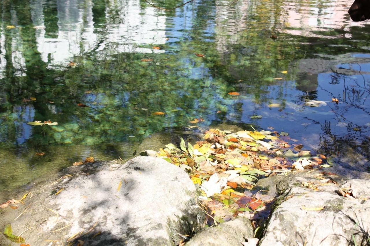 Apartament Chez Pierre Lunz am See Zewnętrze zdjęcie
